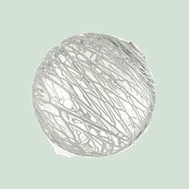 White Cobweb 4.5